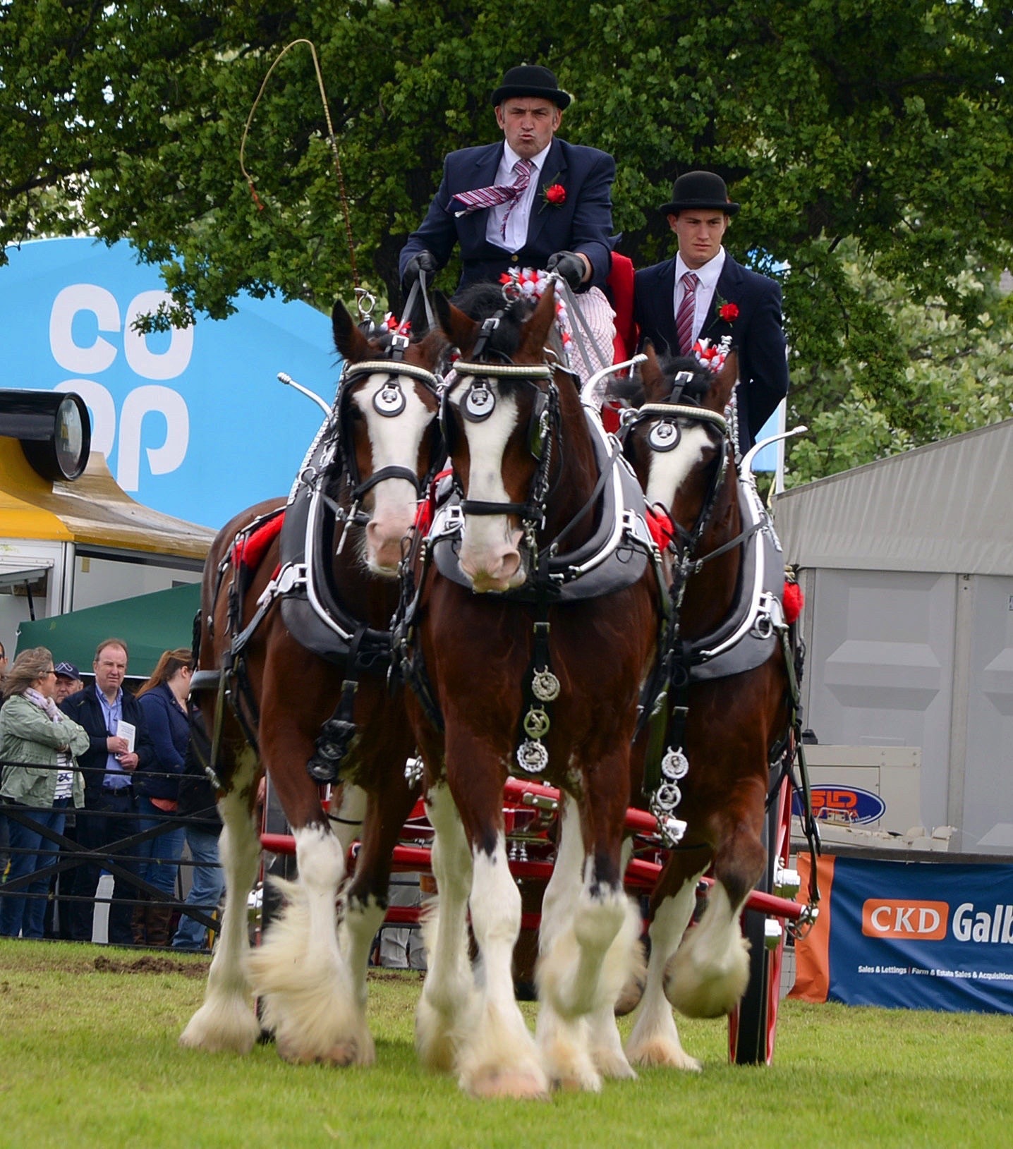 New trophy for farm carts - The Clydesdale Horse Society is to delighted to be able present a new trophy for the winner at the Royal Highland Show