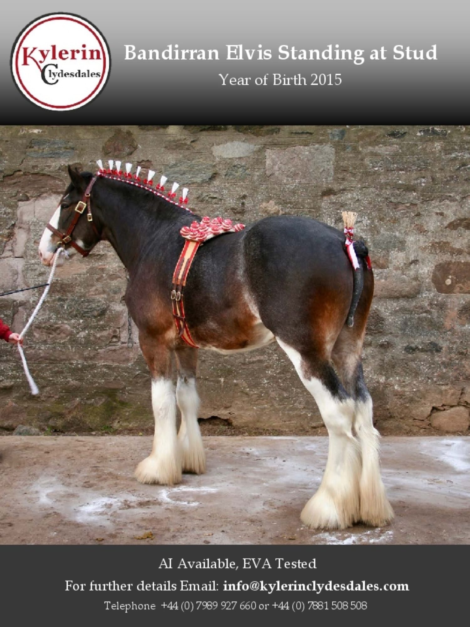Kylerin Clydesdales Advert