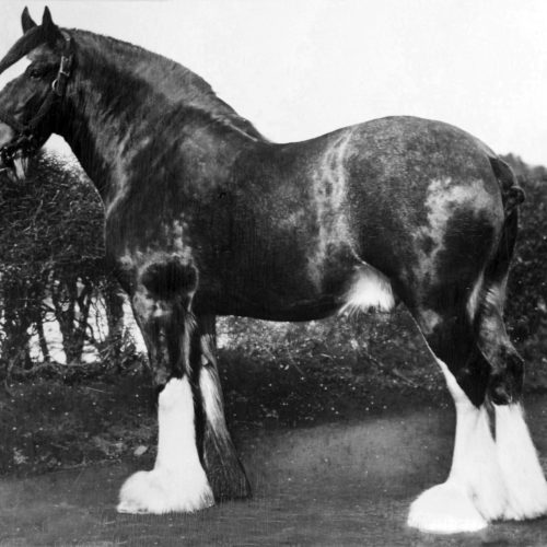 Benefactor