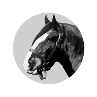 Clydesdale Horse Society